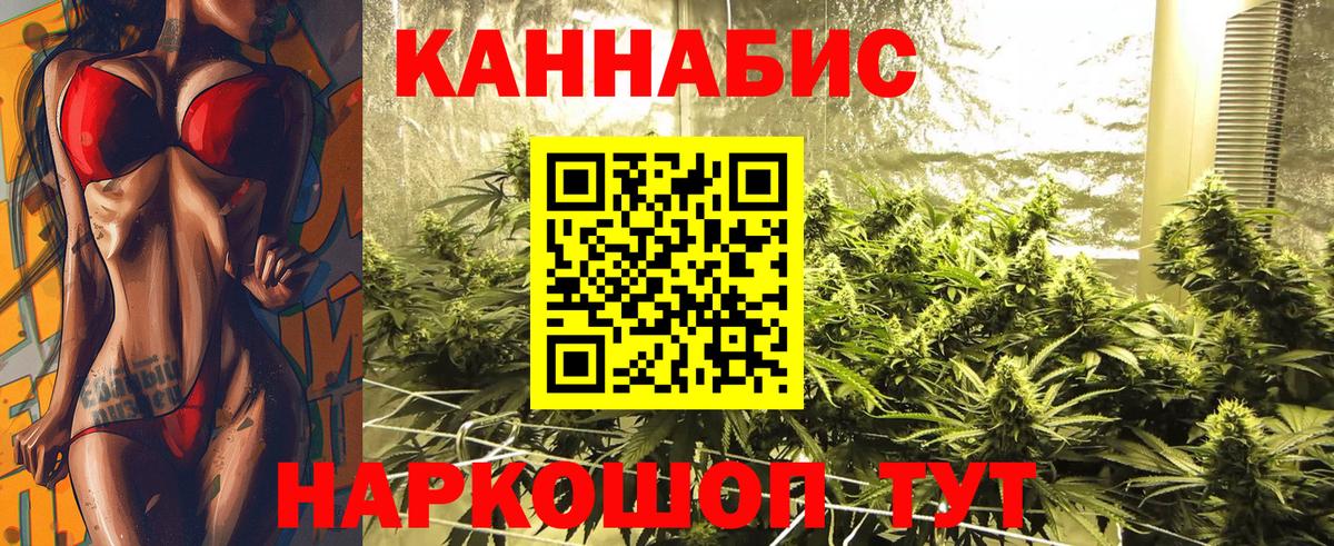 Губкин  Бошки Шишки гибрид  Конопля Amnesia  Вход с VPN 